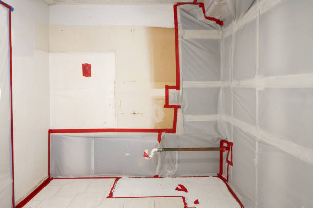 Best Commercial Mold Inspection  in Arvin, CA