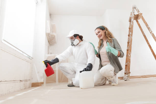 Mold Remediation for Vacation Homes in Arvin, CA